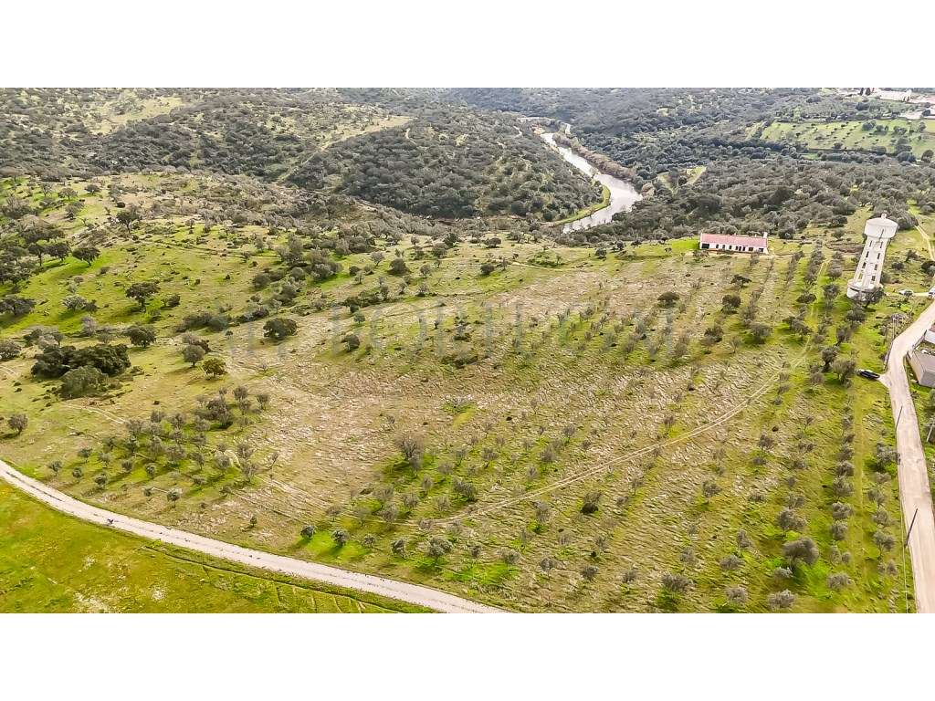 Herdade da Adua | 14 Hectares com Potencial Turístico e Agrícola - ...-5