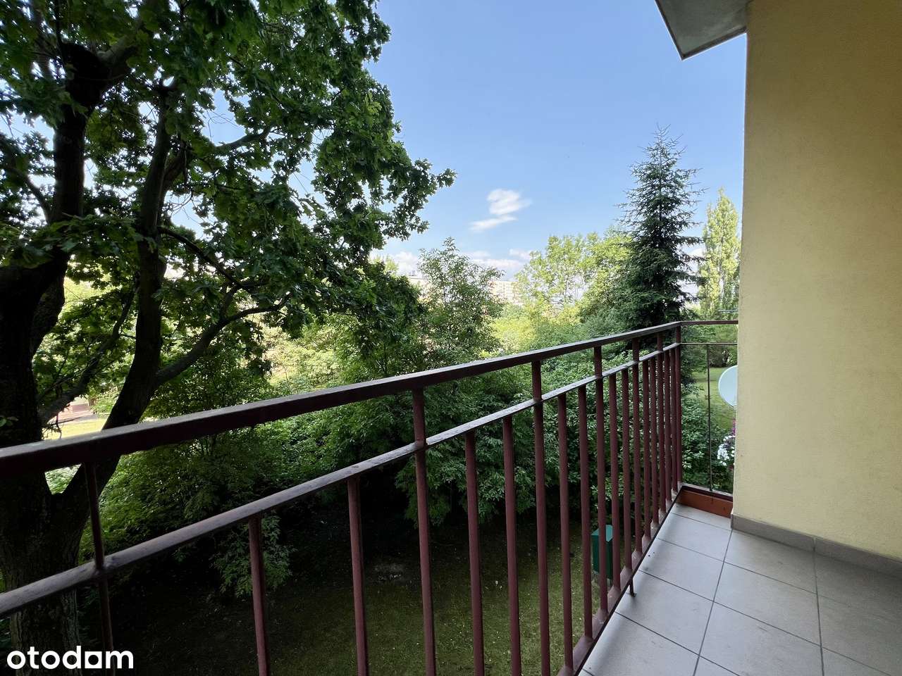 Kawalerka/1 piętro/ul. Orkana/Uroczysko - Pełny obrazek: 5/9