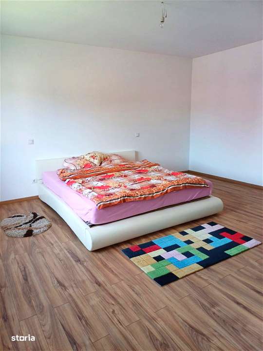 DOUA CASE DE VANZARE LA TALMACIU-18