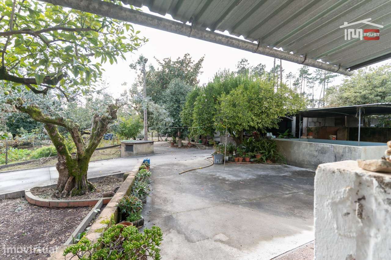 Moradia T3 para recuperar em Vale Travesso, Ourém - Grande imagem: 5/21