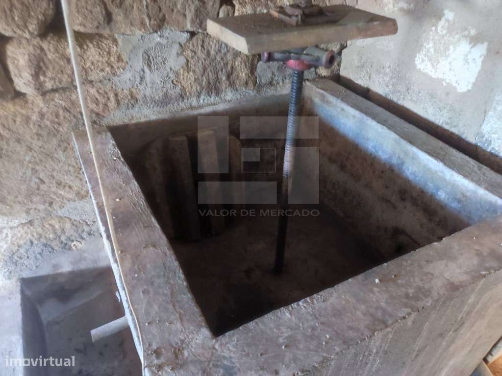 Moradia geminada T4 em Sernancelhe - Grande imagem: 5/28