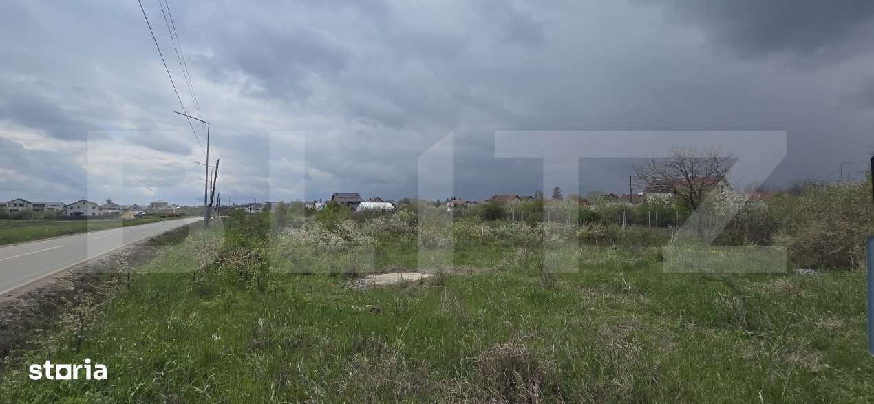 Teren intravilan, 5000 mp, 3 fronturi, zona Carcea, Hanul cu Ponei - Imagine principală: 3/3