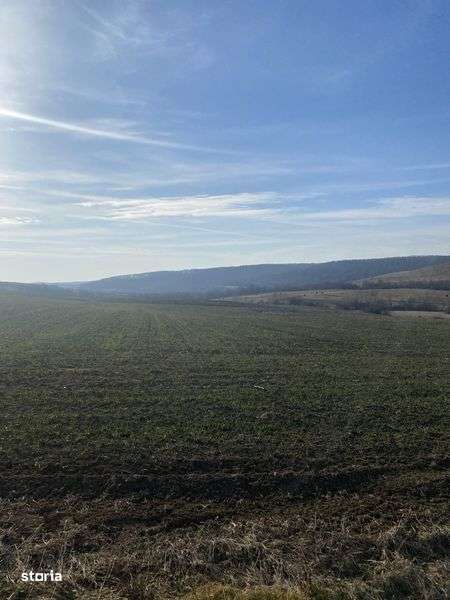 Vand teren Mierlau - Imagine principală: 5/6