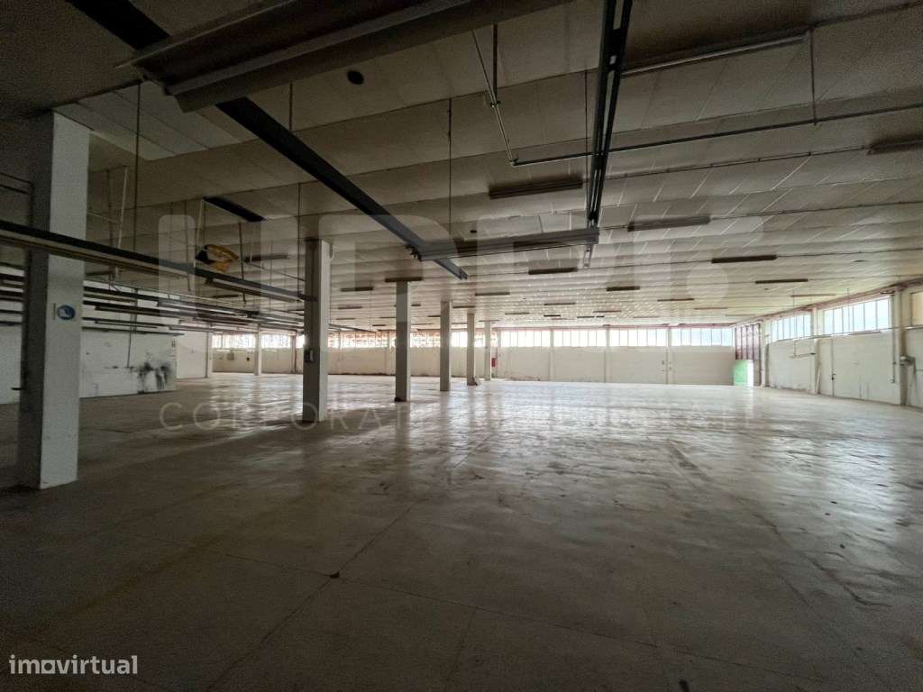 ARMAZÉM | ARRENDA | TROFA - Grande imagem: 5/8