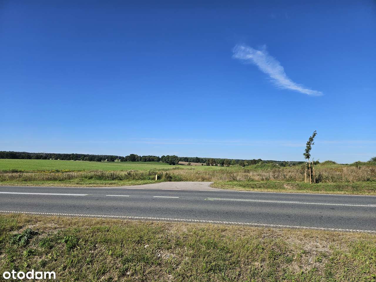 Działka Budowlana - 1000m2- ZABUDOWA JEDNORODZINNA, BLIŹNIACZA - Pełny obrazek: 4/5