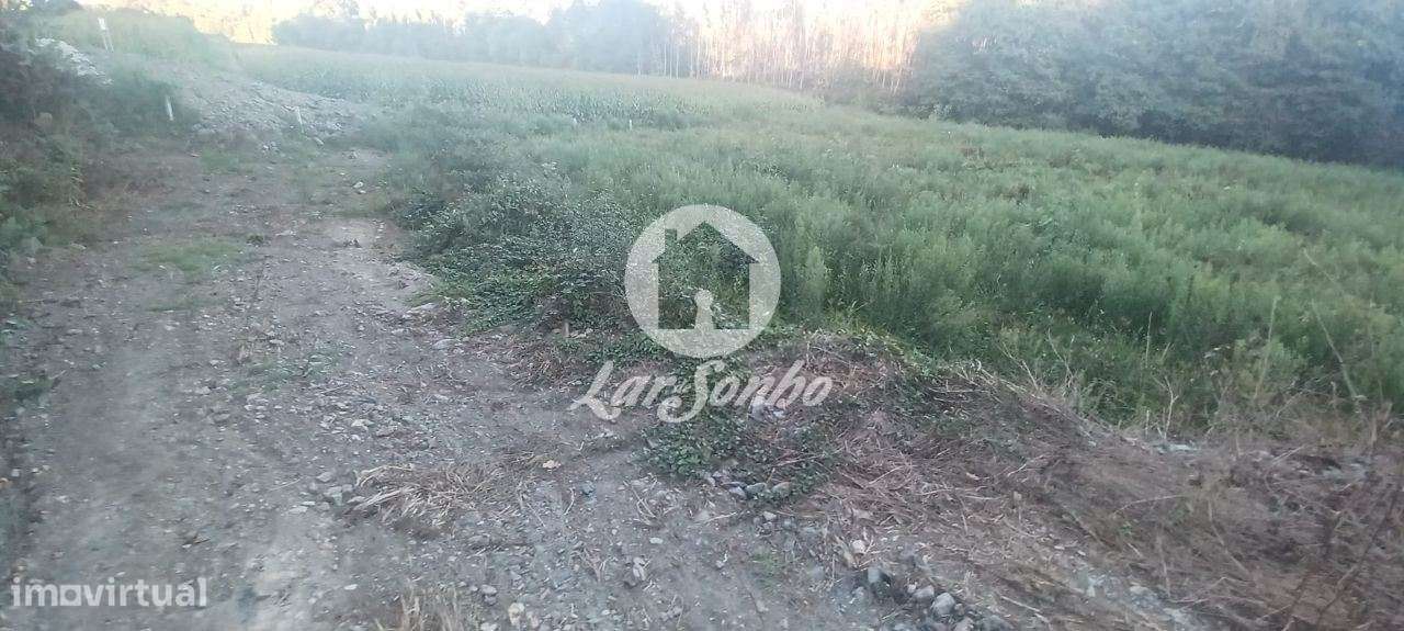 Terreno agrícola com 2.100 m2 em Ribeirão - Grande imagem: 3/6