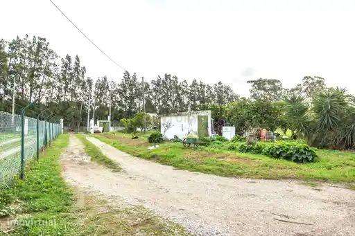 Casa Isolada em Moita, Setúbal - Oportunidade Única! - Grande imagem: 4/39