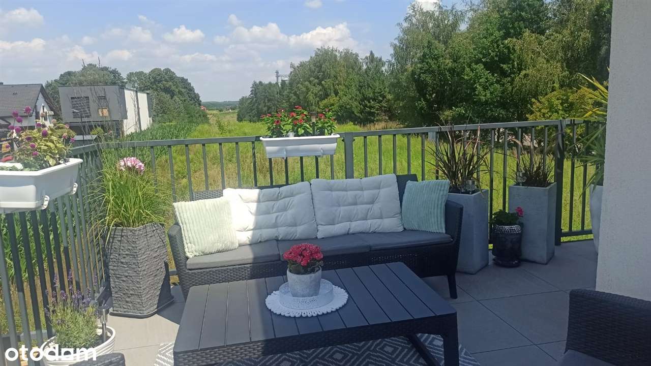 BRAK CZYNSZU !!!!-15