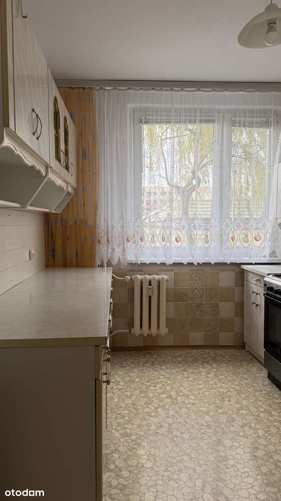 Mieszkanie 3-pokojowe | Osobna kuchnia | loggia | piwnica | dwustronne-7