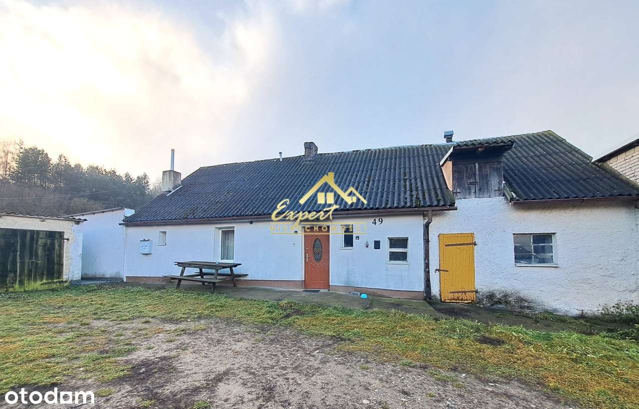 Sprzedam siedlisko wiejskie - Pełny obrazek: 4/20