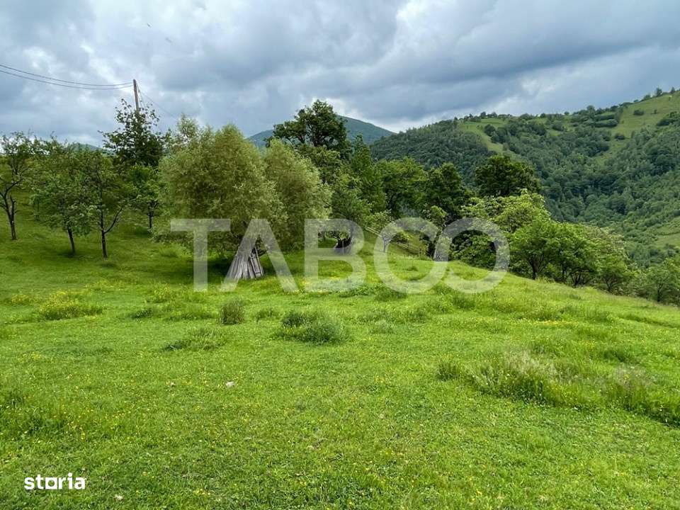 Teren intravilan de vanzare in Martinia de sus - Imagine principală: 4/6