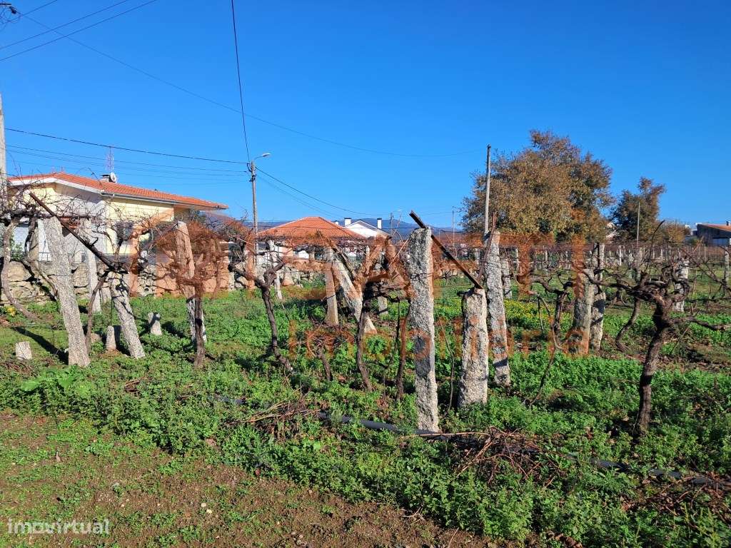 Terreno com mais de 5 mil metros quadrados para construção - Grande imagem: 3/14