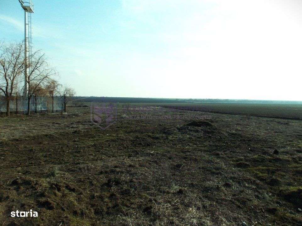 OVIDIU - ACADEMIE - Teren intravilan 674 mp pentru una sau doua case!-3