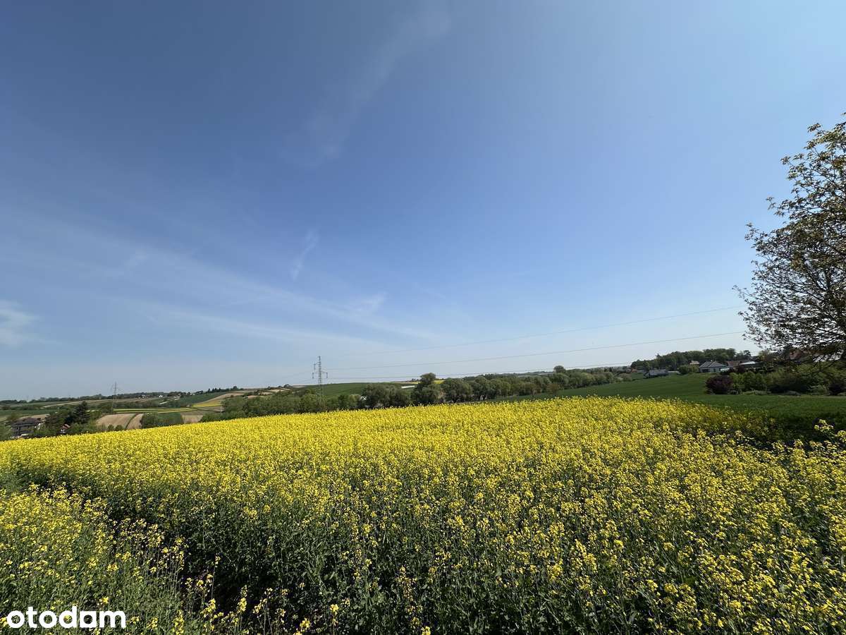 Ostatnia Działka budowlana 6.56a Krzysztoforzyce Glinik ul.Zacisze - Pełny obrazek: 5/14