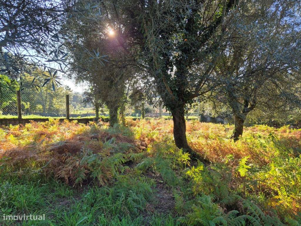 Terreno São Pedro Arcos - Grande imagem: 4/5