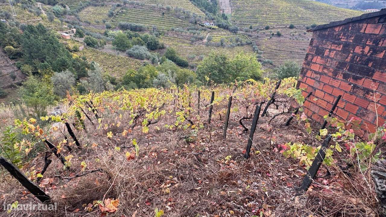 Quinta em Sedielos, Peso da Régua-4