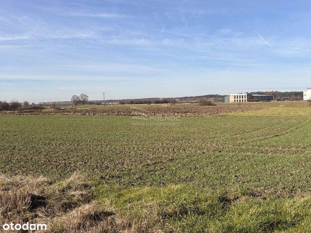 Cikowice duża działka przemysłowa 1,47ha - Pełny obrazek: 4/6