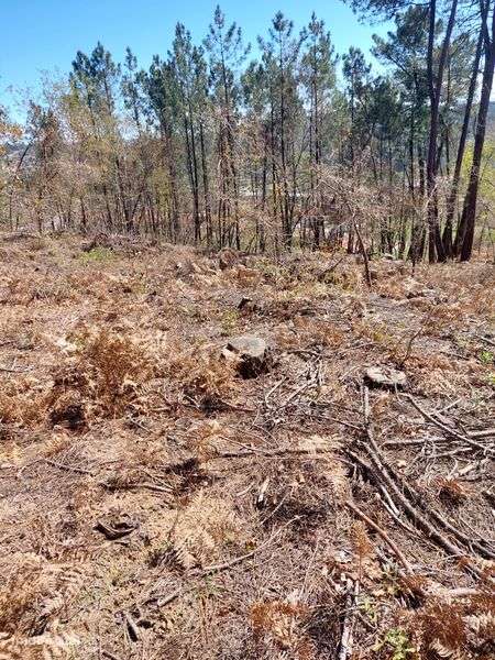 Vendo terreno Urbanizável - Grande imagem: 5/8