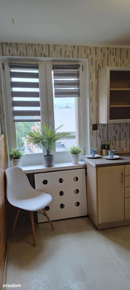 Duże, ustawne trzy pokoje w centrum miasta-7