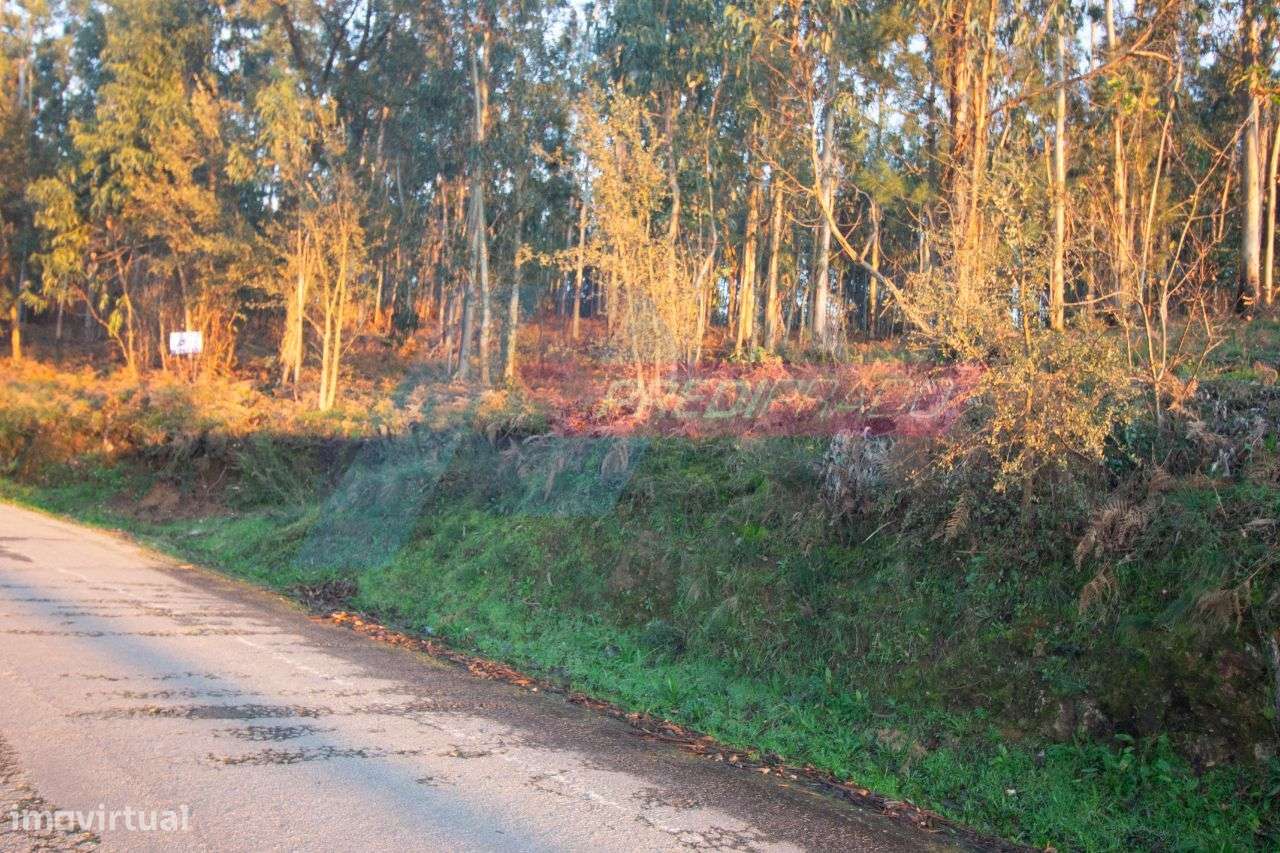 Excelente Terreno em Marrancos, Vila Verde! - Grande imagem: 3/4