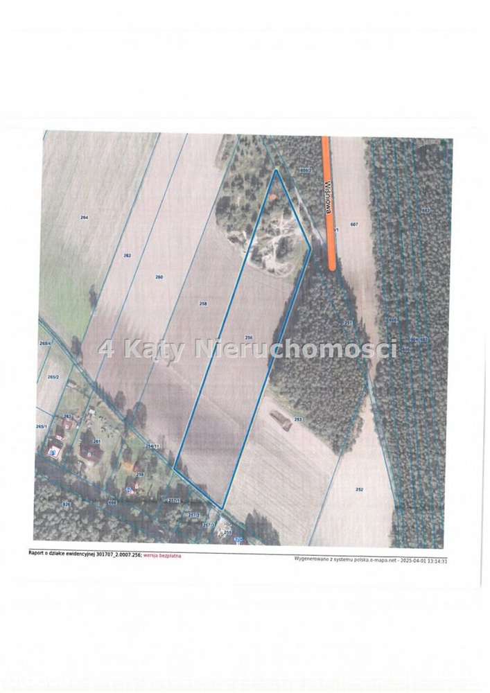 Parczew 14900 m2 Przy Lesie - Pełny obrazek: 4/4