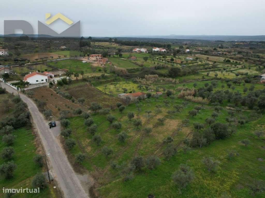 Terreno rústico de regadio com Olival em Ladoeiro - Grande imagem: 3/15
