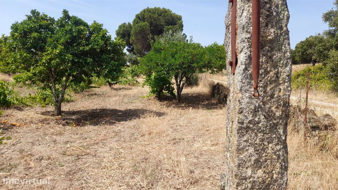 Terreno Rústico  Venda em Escalos de Cima e Lousa,Castelo Branco-10