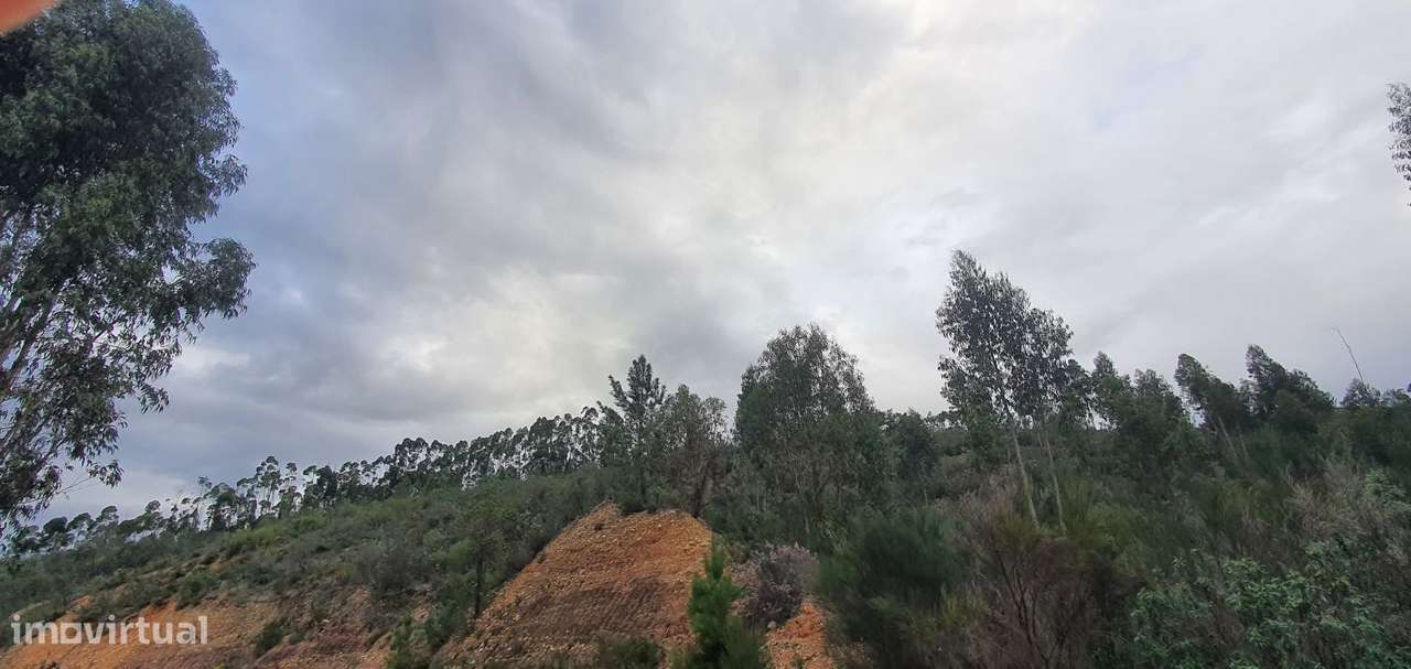 Terreno com acesso ao rio Zêzere perto da Macieira - Vila de Rei - Grande imagem: 3/23