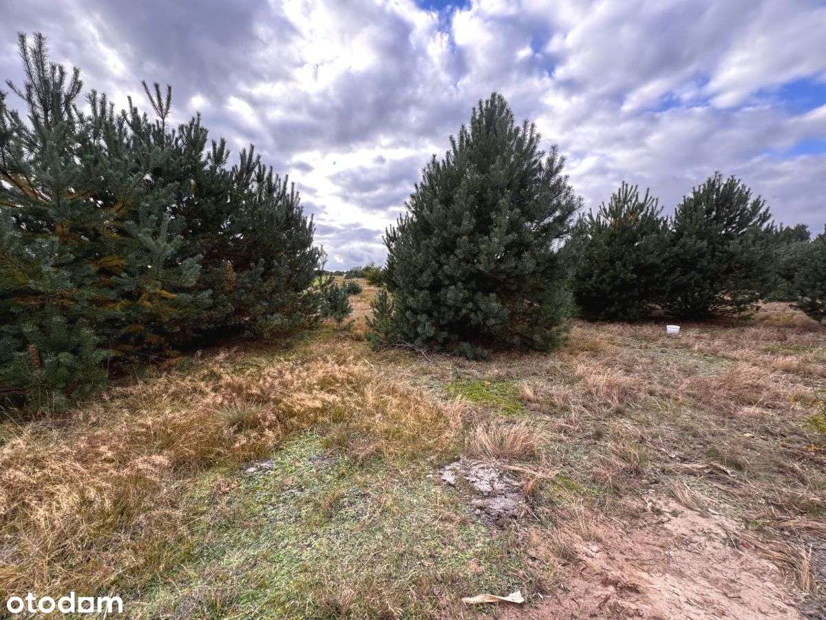 Iwiec Cekcyn budowlana - Pełny obrazek: 5/7