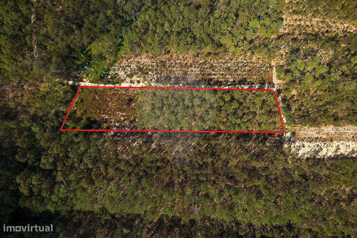 Terreno  para venda - Grande imagem: 4/9
