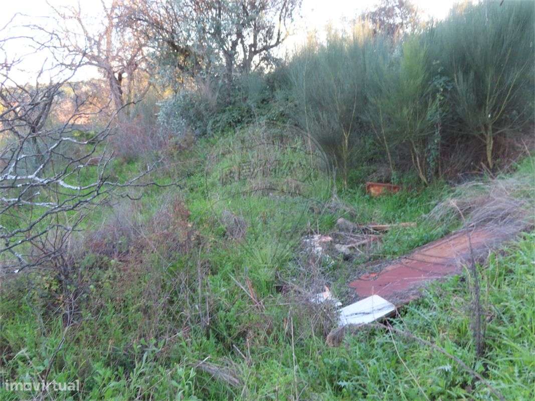 Quinta  para venda - Grande imagem: 5/7