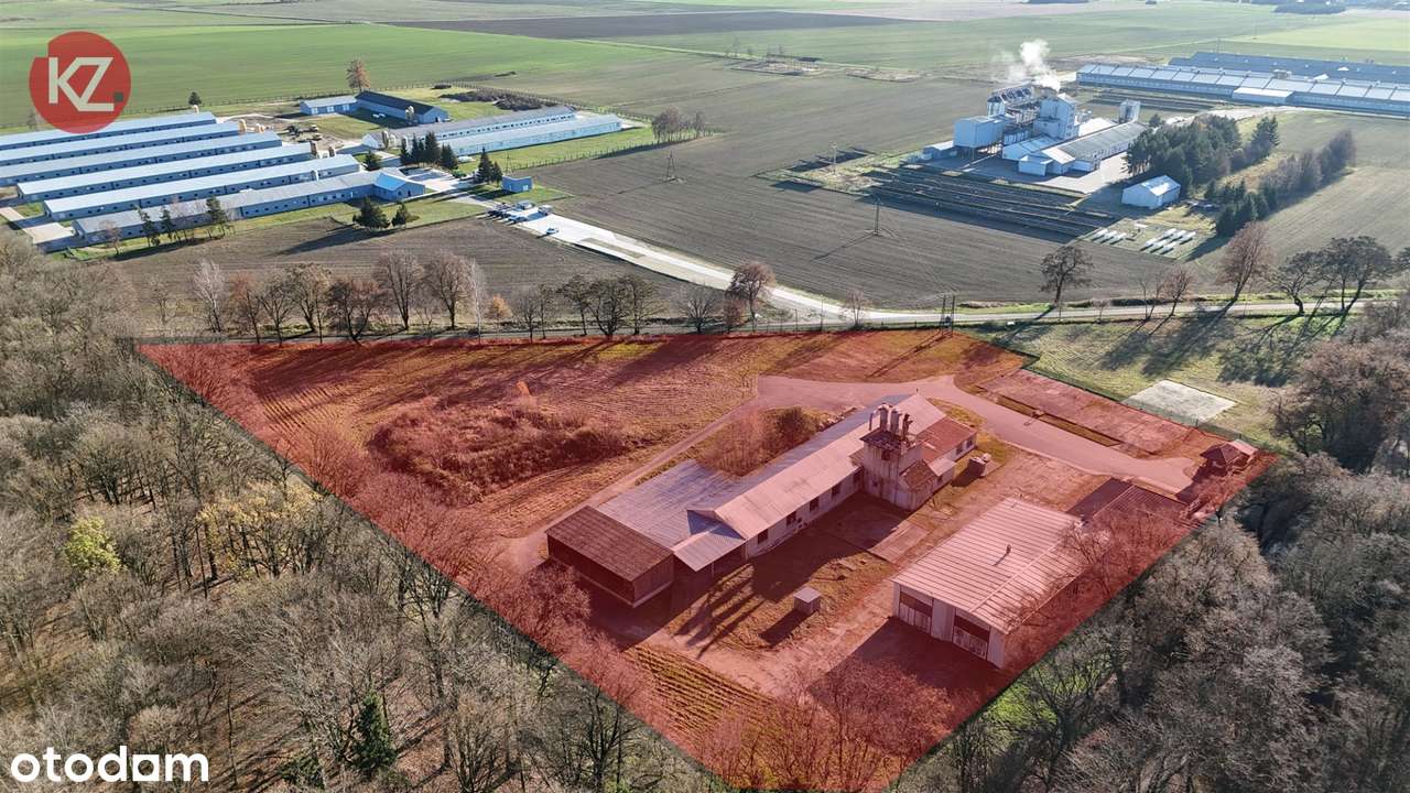 Obiekt na sprzedaż, Margonin (gw)-0