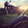 Harley-Davidson Street Rod XG 750A - 3