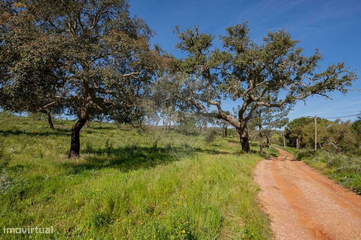 Terreno  para venda - Grande imagem: 4/36