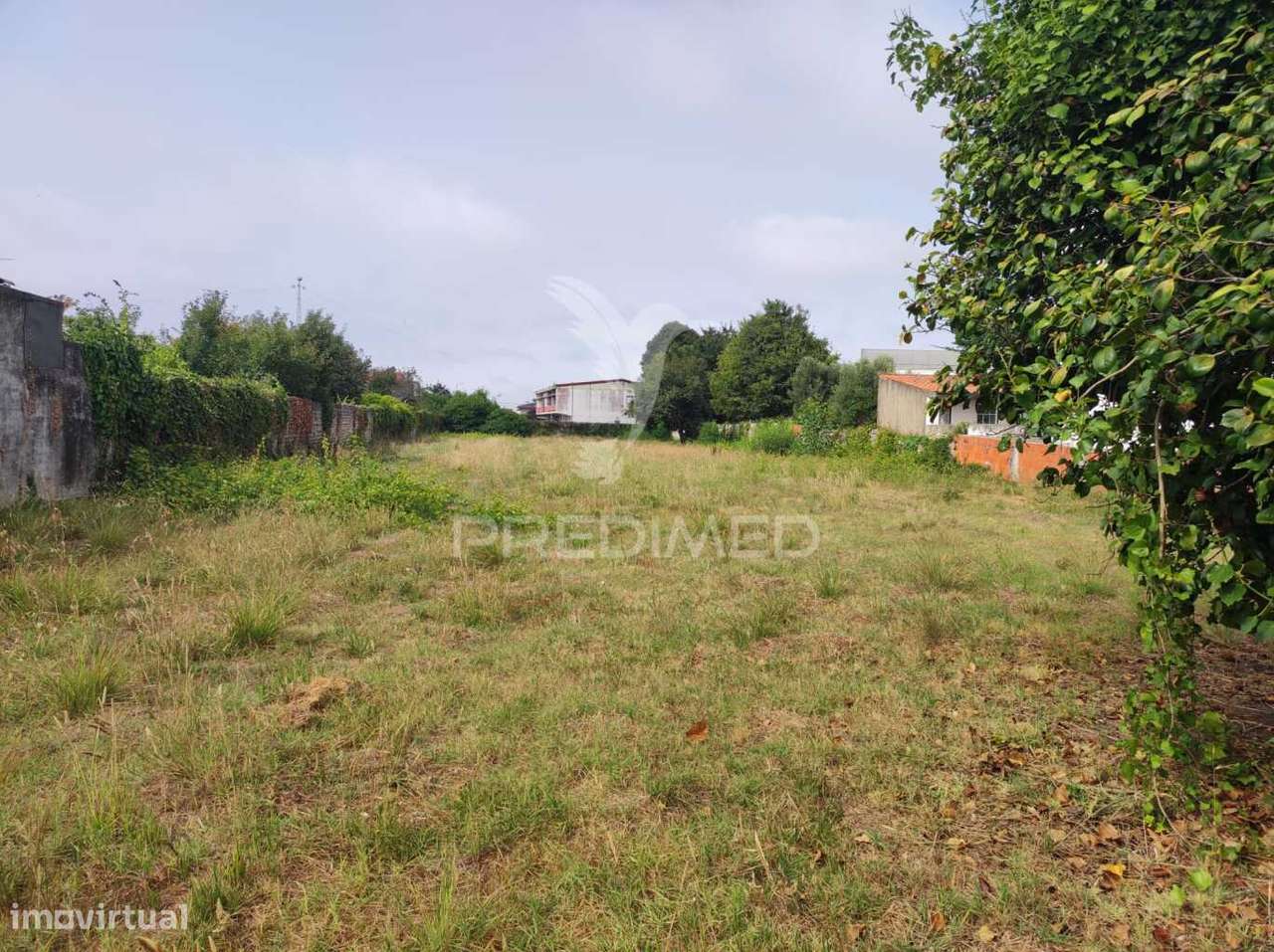 Terreno Rústico C/ 2500m2 - Grande imagem: 5/6