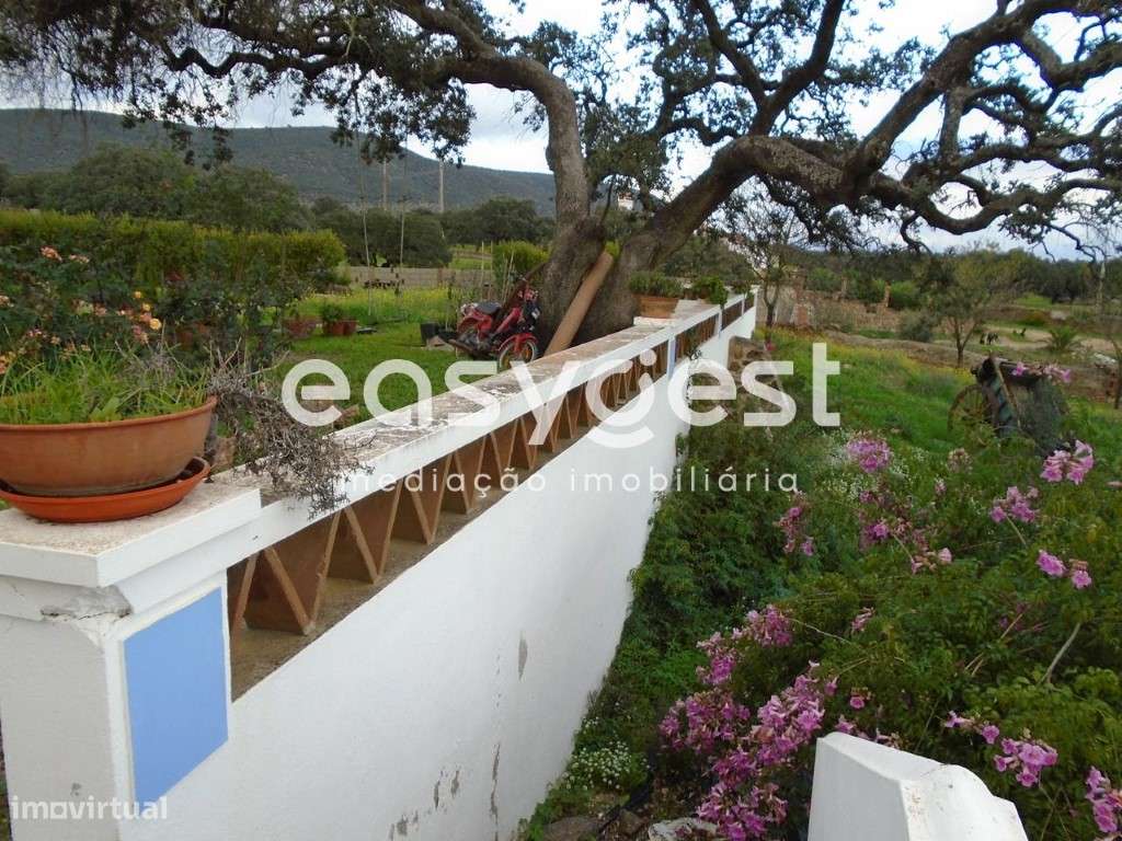 Quinta em Vila Verde de Ficalho - Grande imagem: 5/19