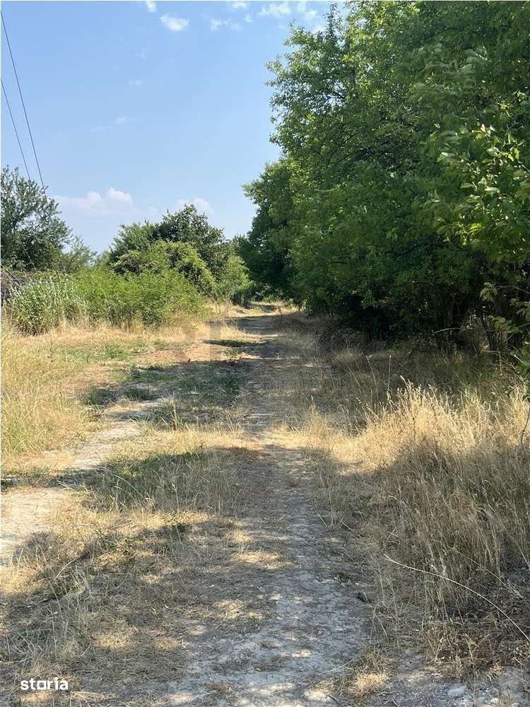 RECO Teren intravilan Tileagd 2337 mp - Imagine principală: 3/5