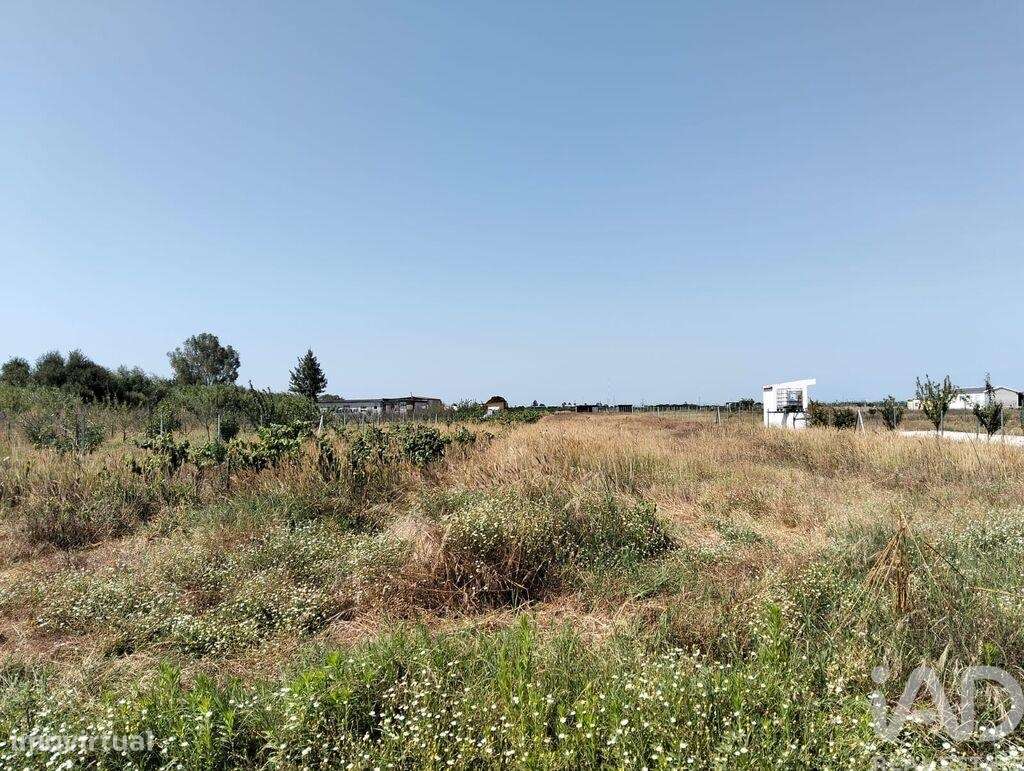 Terreno em Benfica do Ribatejo de 6720,00 m2 - Grande imagem: 5/29
