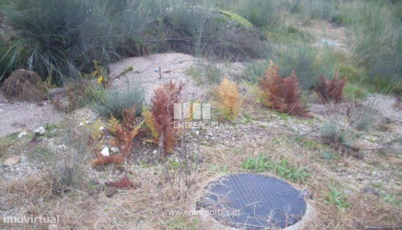 Venda Lote, Grilo, Baião - Grande imagem: 4/30