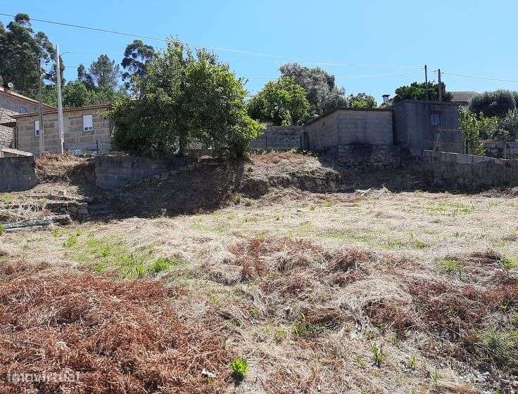 Vende Terreno São Miguel de Paredes Penafiel - Grande imagem: 5/19