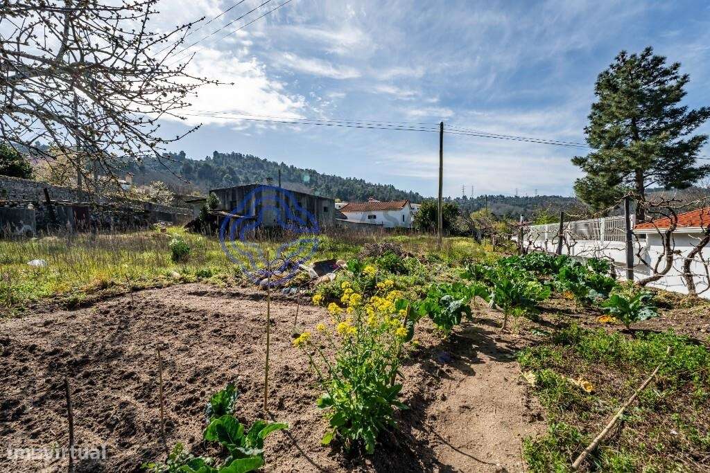 Terreno Rústico em Coura, Armamar - Grande imagem: 2/10