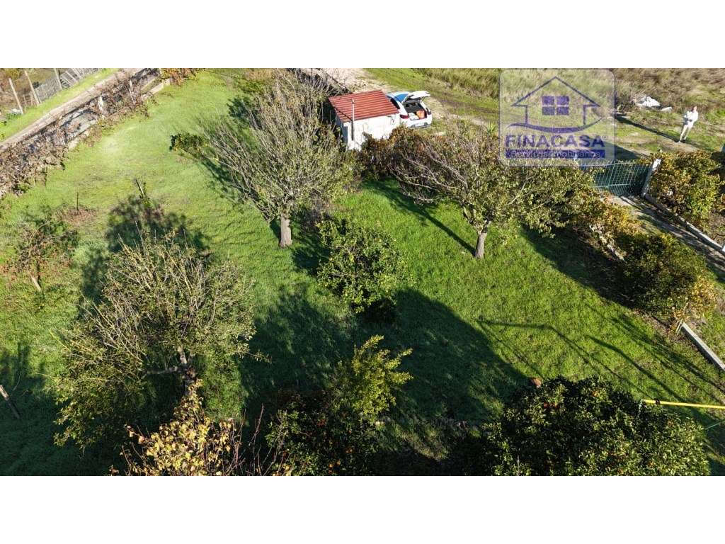 EXCLUSIVO - Quinta com 2069 m2, T1 e um armazém - Asseiceira(Palmela)-51
