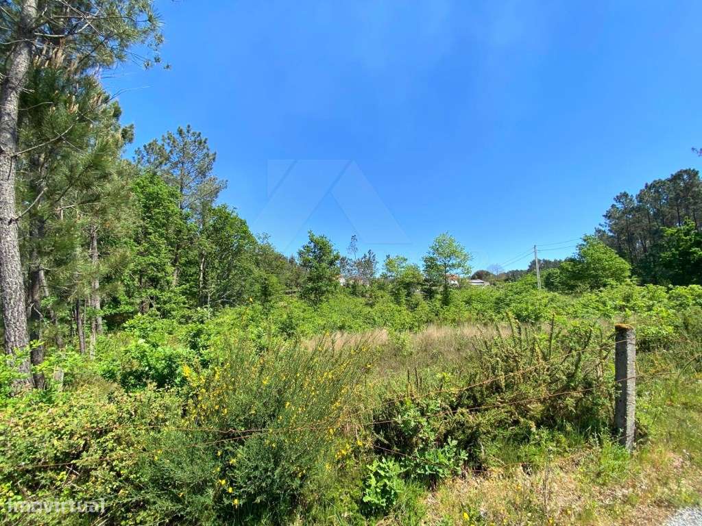 Terreno para construção - Grande imagem: 5/7