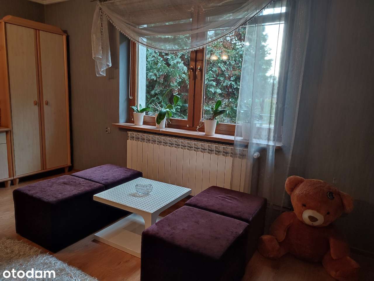 Dom wolnostojący z budynkiem gospodarczym i ogródkiem - Pełny obrazek: 5/7