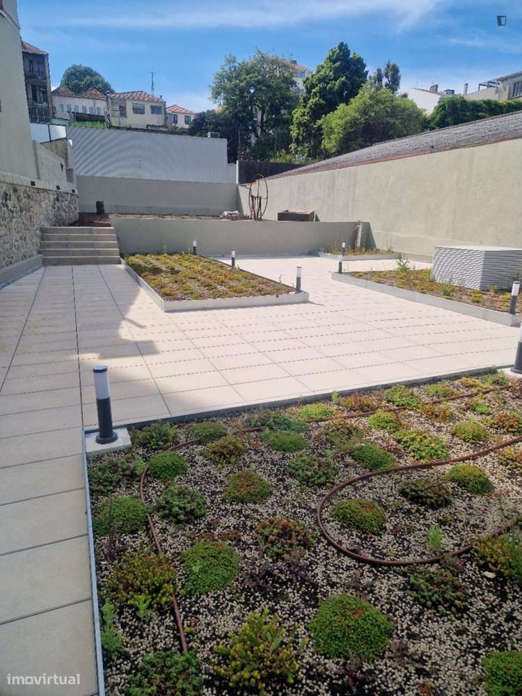 Apartamento com 1 quartos - localizado em Santo Ildefonso Porto - Grande imagem: 3/6