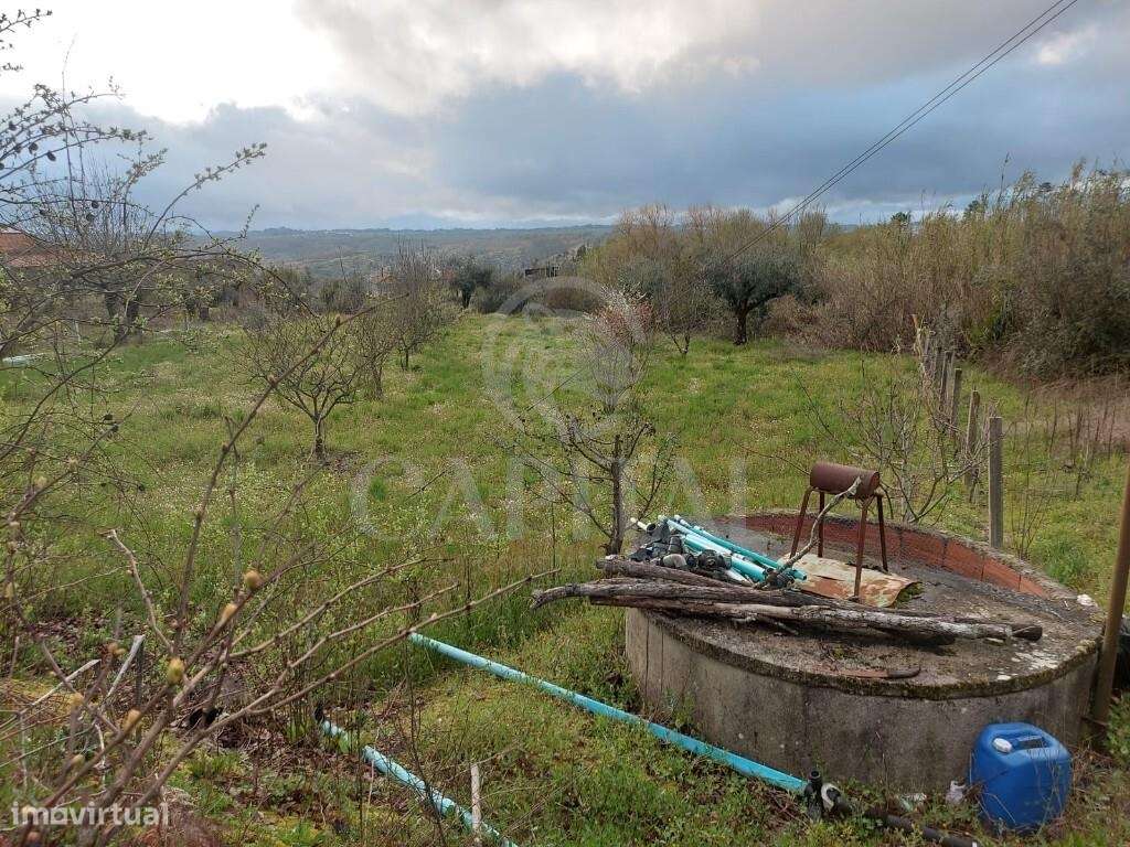 Terreno para Construção em Povoa de Midões -Tábua - Grande imagem: 5/9