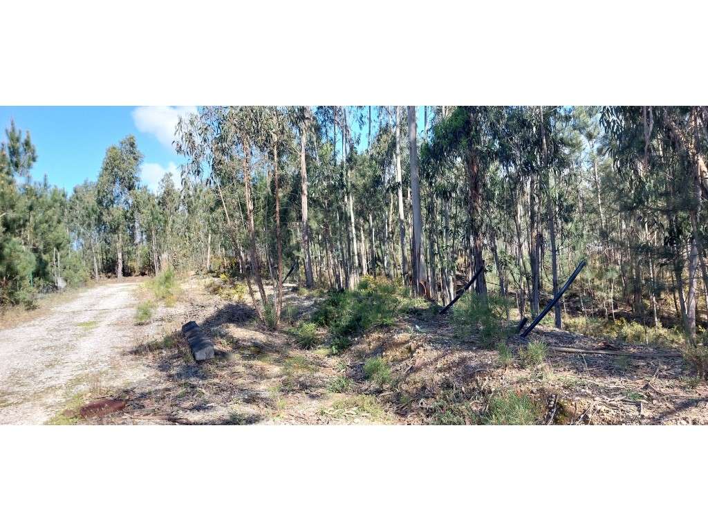 Terreno para construção na Vila de Monte Real - Grande imagem: 4/5