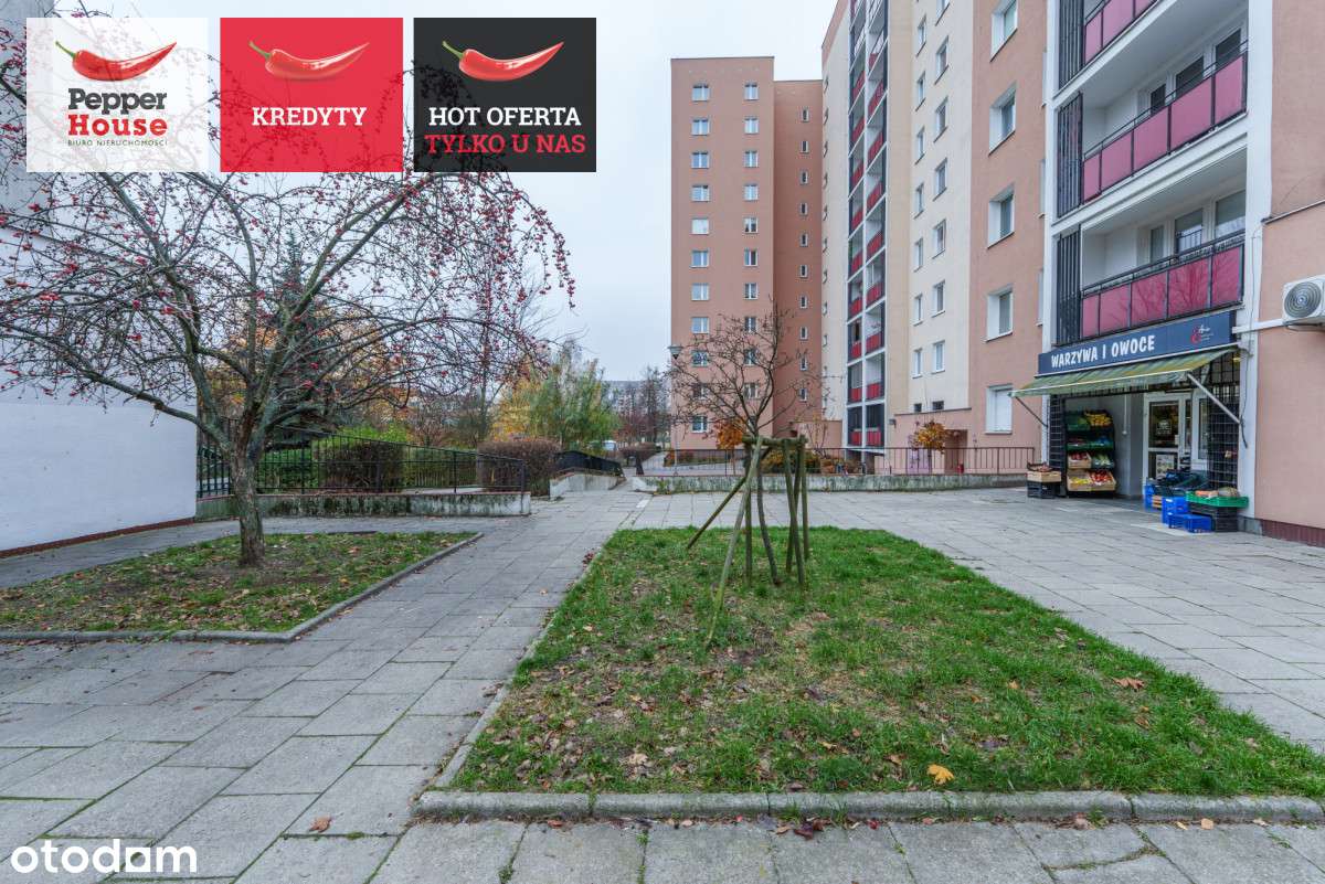 Piękny widok! M2 do remontu-8