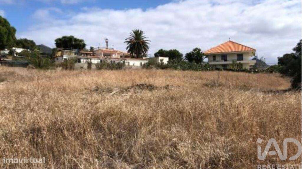 Prédio T5 em Porto Santo de 4766,00 m2 - Grande imagem: 3/15