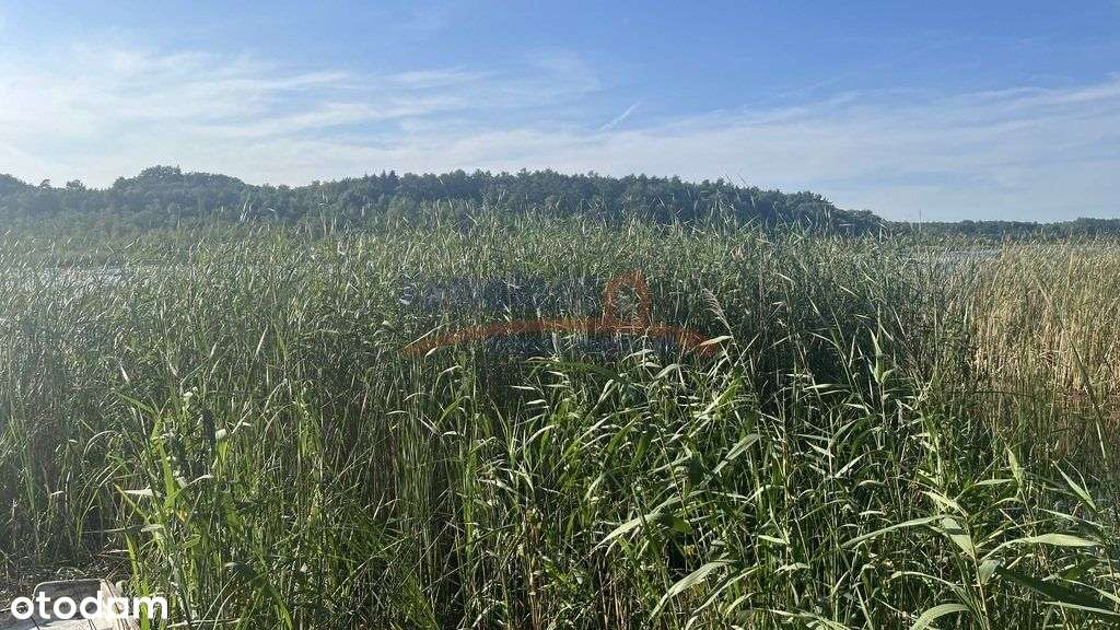 Domek nad jeziorem 20km od Szczecina. - Pełny obrazek: 5/20